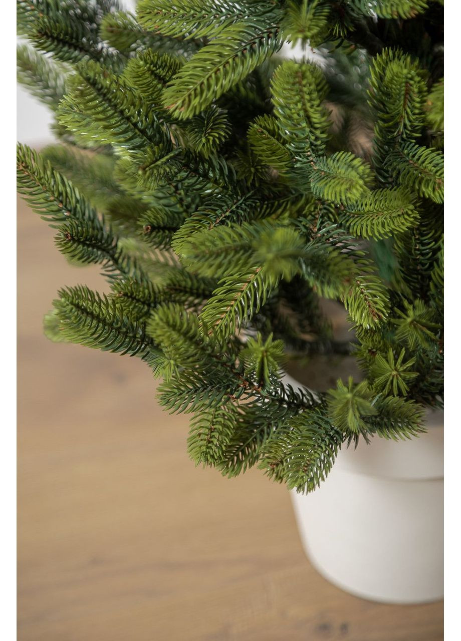 Ялинка лита SG "Віденська" в горщику Весняна зелена 0,90м Siga Group (366964590)