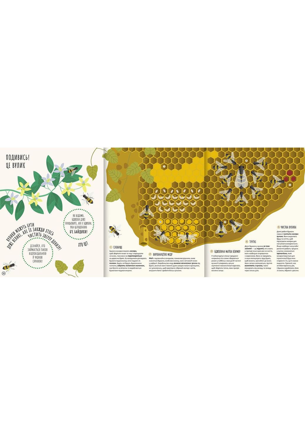 Кто внутри? Открывай тайный мир животных No Brand (359369665)