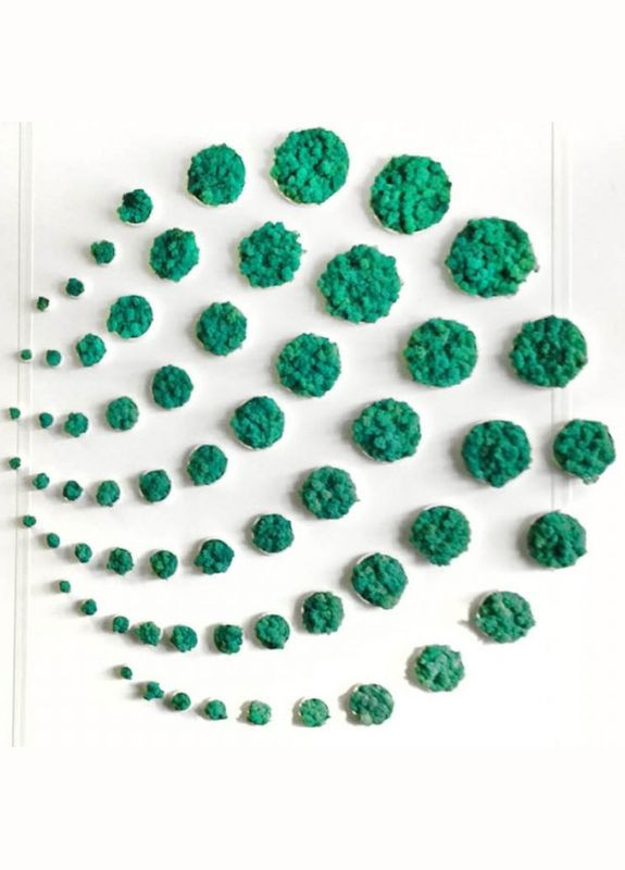 Стабилизированный мох ягель Изумрудный 1 кг Nordic moss (276401119)