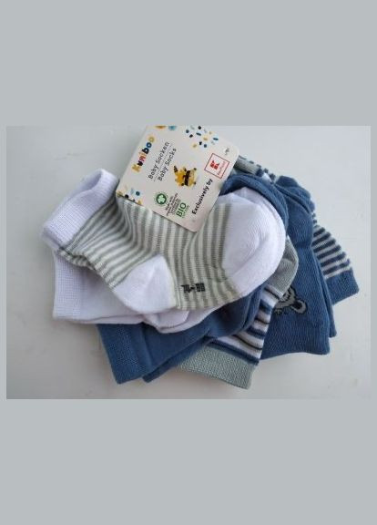 Шкарпетки, 6 шт Kuniboo (317299772)