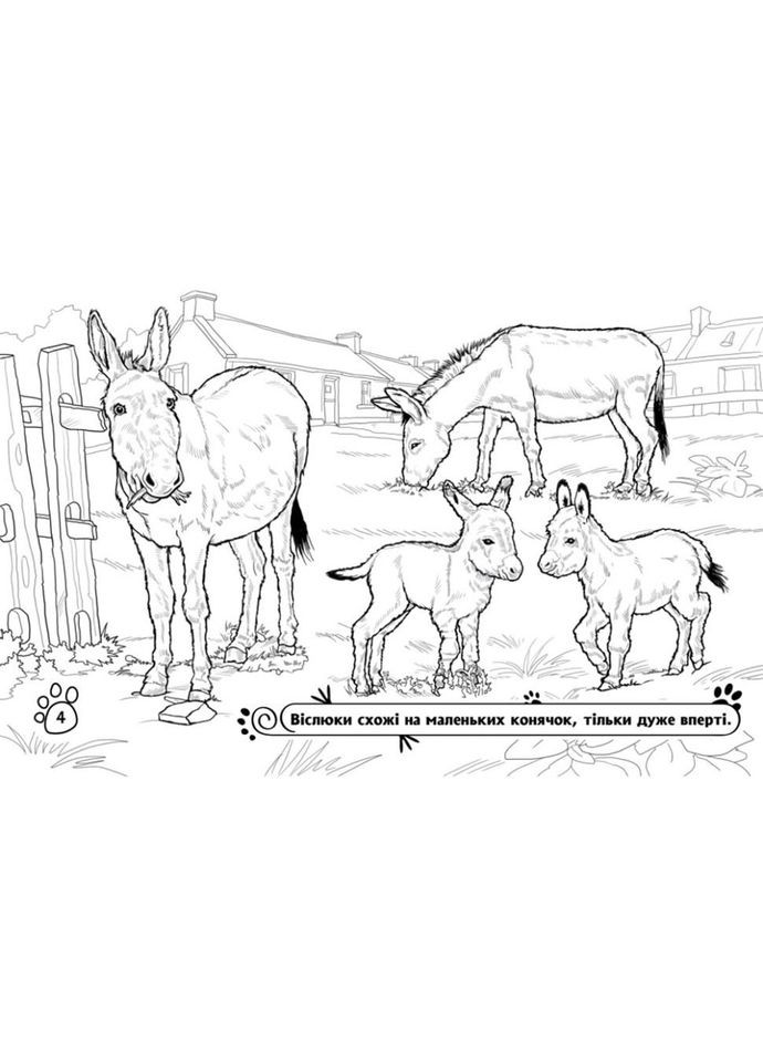Дитяча розмальовка "Тварини на фермі" 583011, 16 сторінок No Brand (329897488)