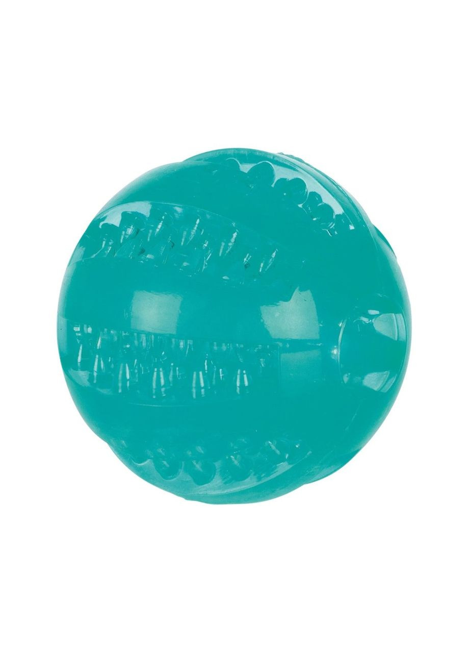 Іграшка для собак М'яч Denta Fun для зубів 6 см М'ятний (4011905336800) Trixie (279568526)