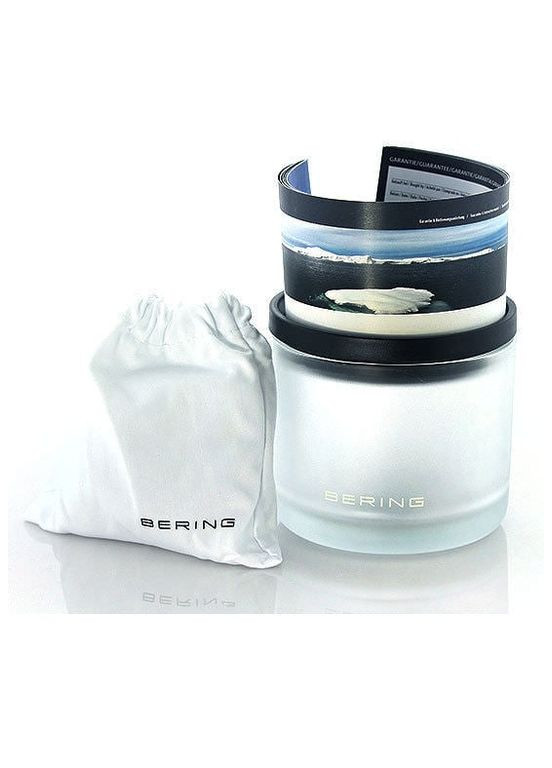 Женские наручные часы Bering 10729-741 (322688220)