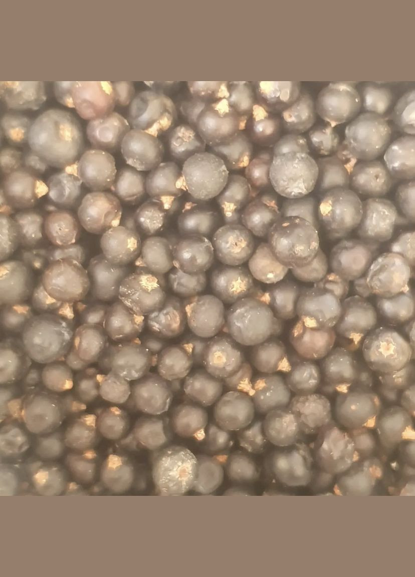 100 г можжевельник плоды сушеные - свежий урожай No Brand (324444770)