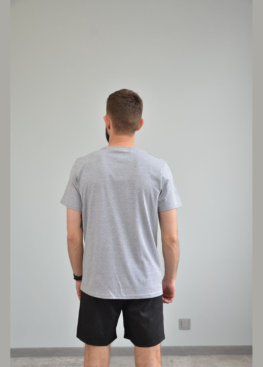 Світло-сіра чоловіча футболка, різні кольори (розміри:, 50, 52, 54) No Brand