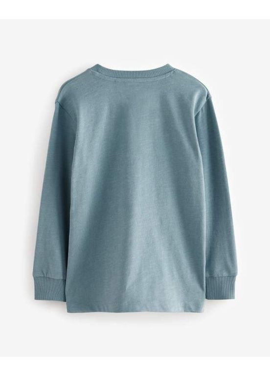 Голубой демисезонный лонгслив Next Trend