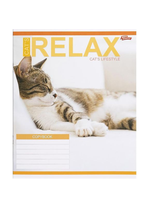 Зошит 18 арк. клітинка "МРІЇ" / Сплячі котики Мрії Збуваються (342415614)