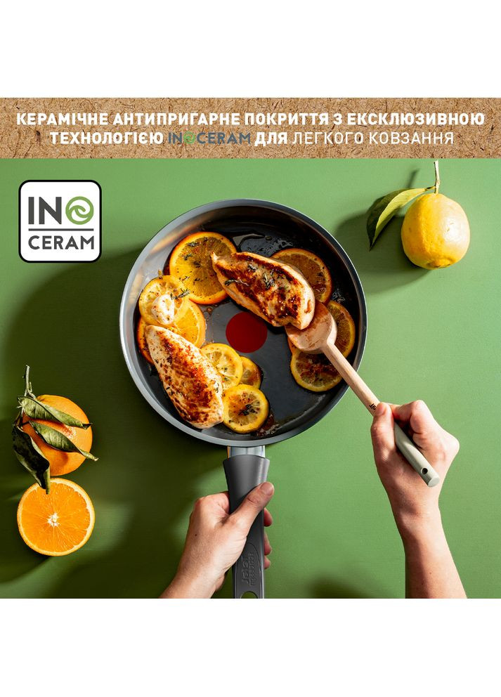 Сковорода Renewal 24 см + крышка (C4263243) Tefal (306614252)