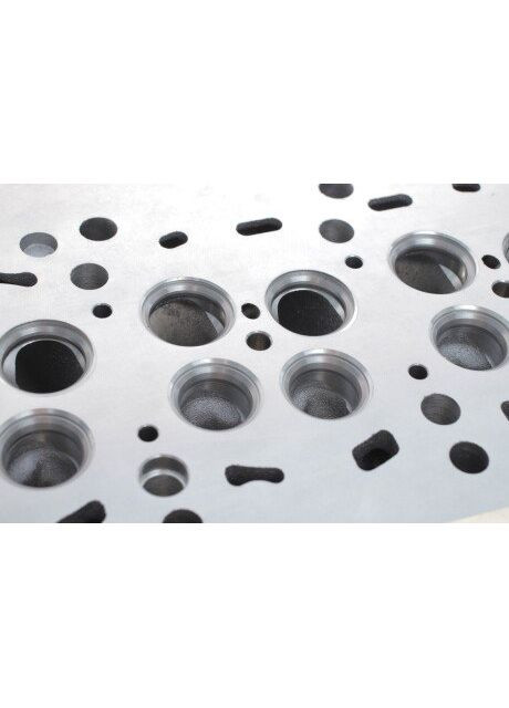 Головка блока цилиндров VW Crafter 30-35/30-50 2.0 TDI 11-16 908728 (opt-om) AMC (347158352)