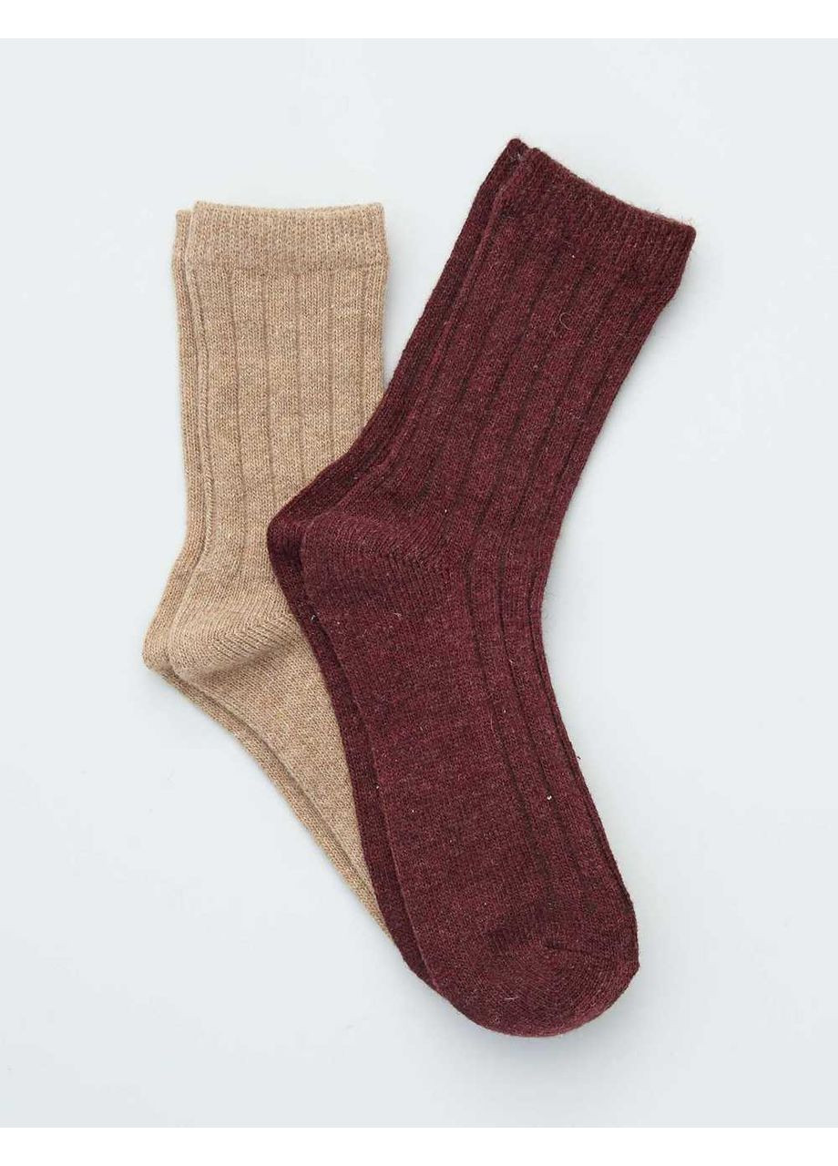Бордовые носки утепленные,бордовый-бежевый, Kiabi (364504520)