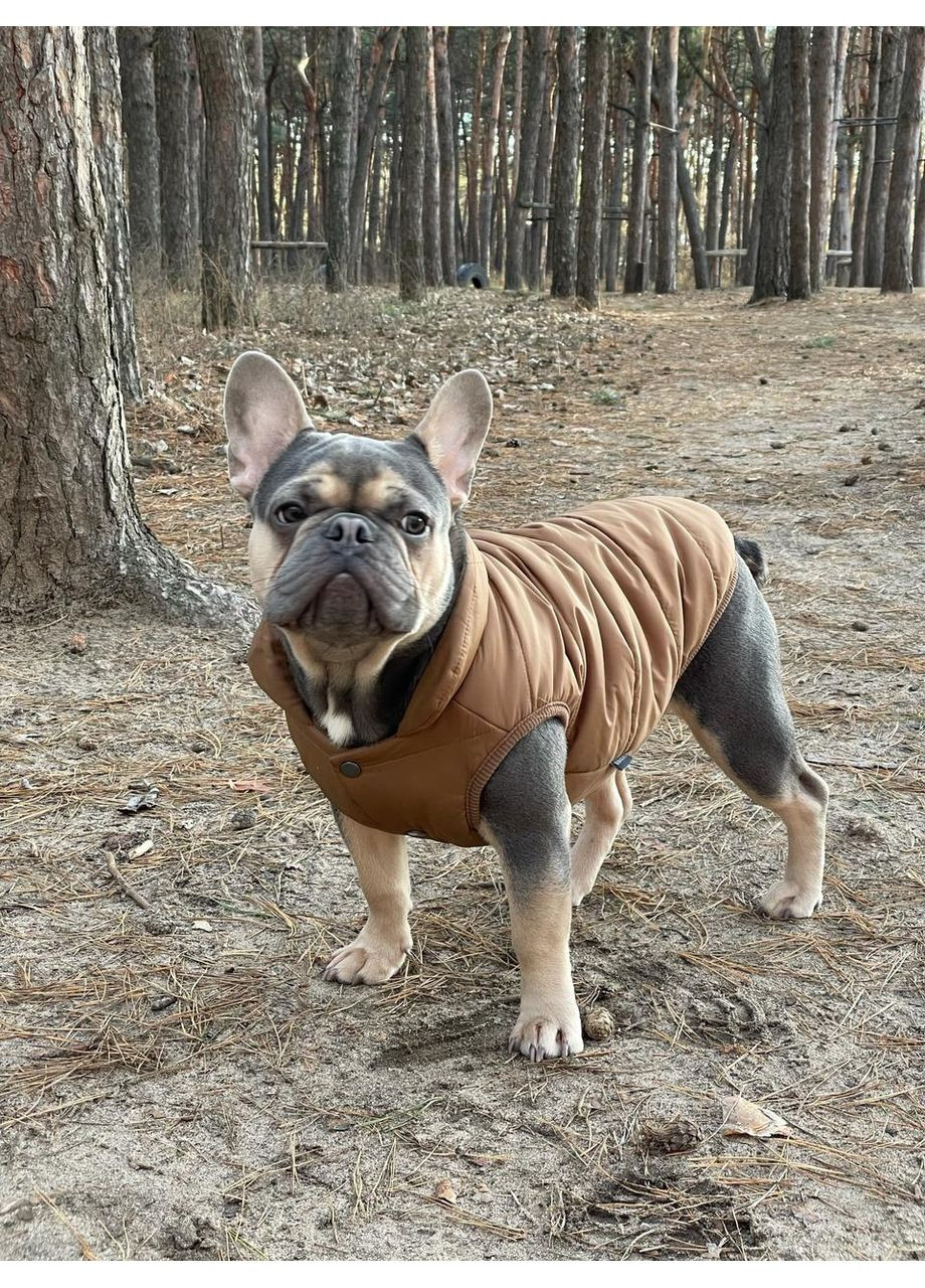 Зимняя жилетка универсальная теплая для собак M No Brand (362136330)