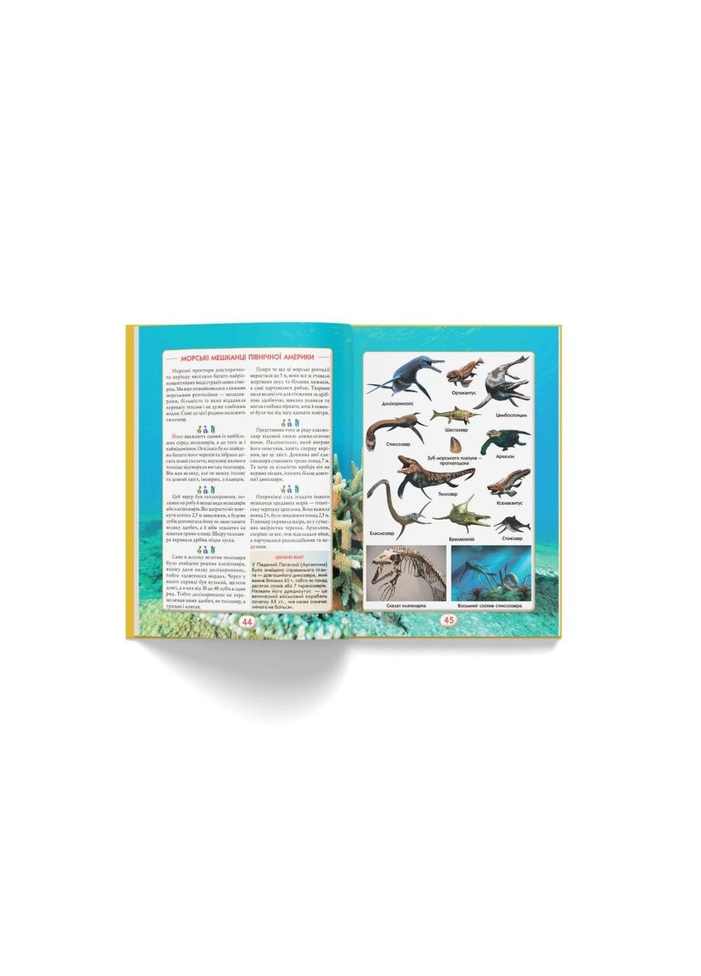 Книга "Ви маєте це знати. Динозаври" Кристал Бук (351346703)