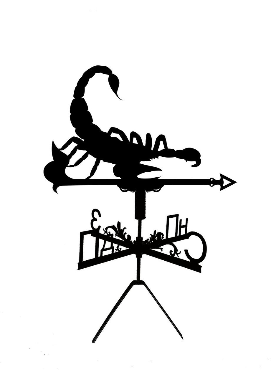 Флюгер на будинок Скорпіон з металу 2 мм, флюгер на дах No Brand (368896357)