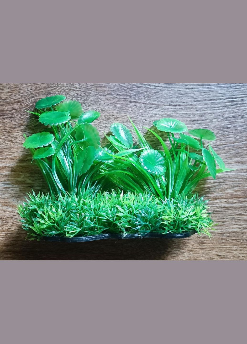 Растение пластиковое водоросли М601М682 14-16 см зелёное5 Aquatic Plants (278308291)