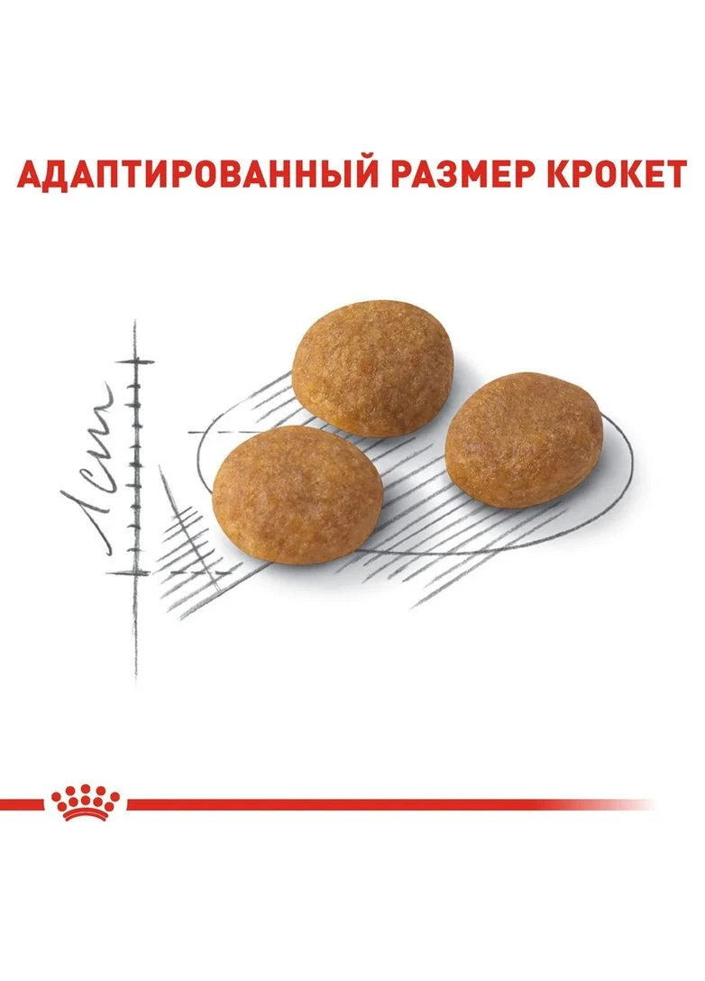 Aroma Exigent (Рояв Канін Арома Ексіджент) сухий корм для котів привердливих в кормах від 12 міс. 2 кг. Royal Canin (297511865)