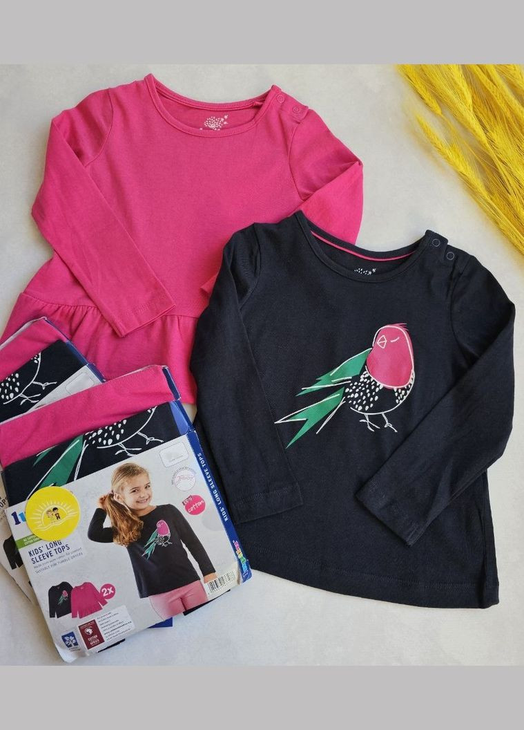 Набір реглан-лонгслів для дівчаток Lupilu Лонгслів (337168379)
