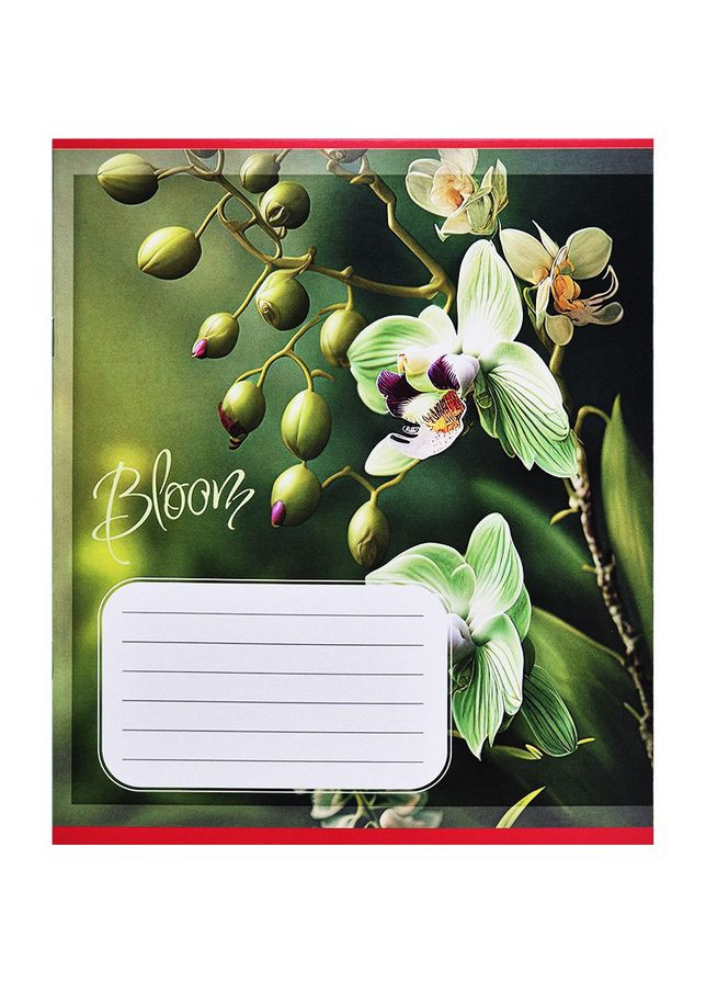 Зошит учнівський "Орхідеї" 018 530261K 2 в клітинку, 18 аркушів Leader (364129266)