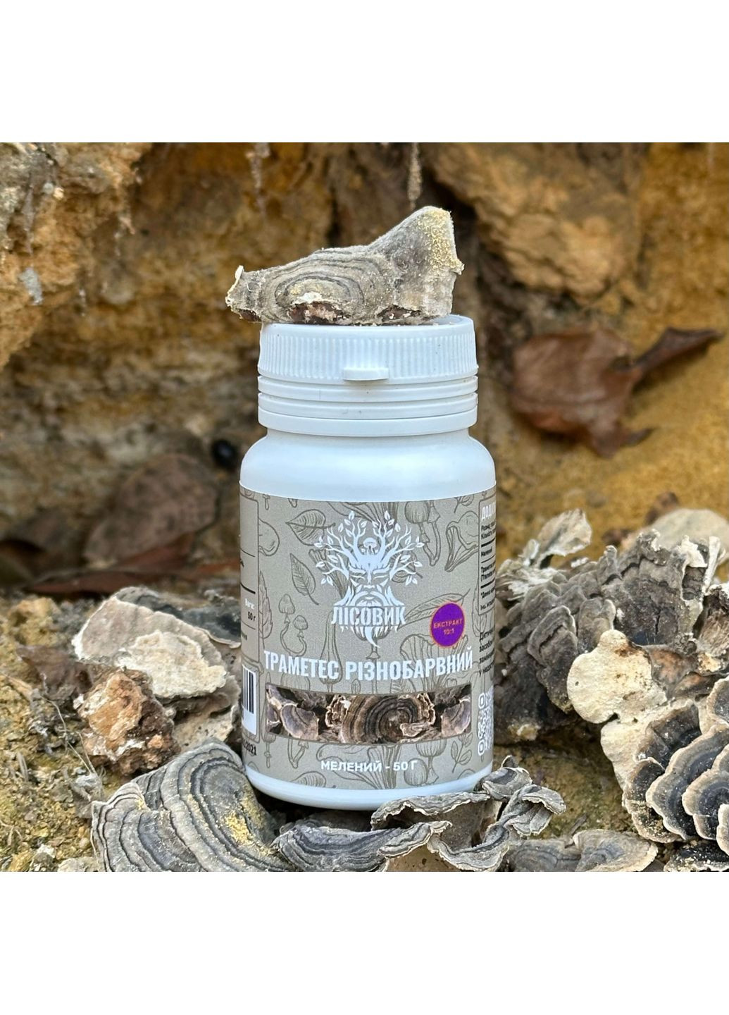Траметес разноцветный, экстракт 10:1, молотый 50 г Лісовик (334711123)