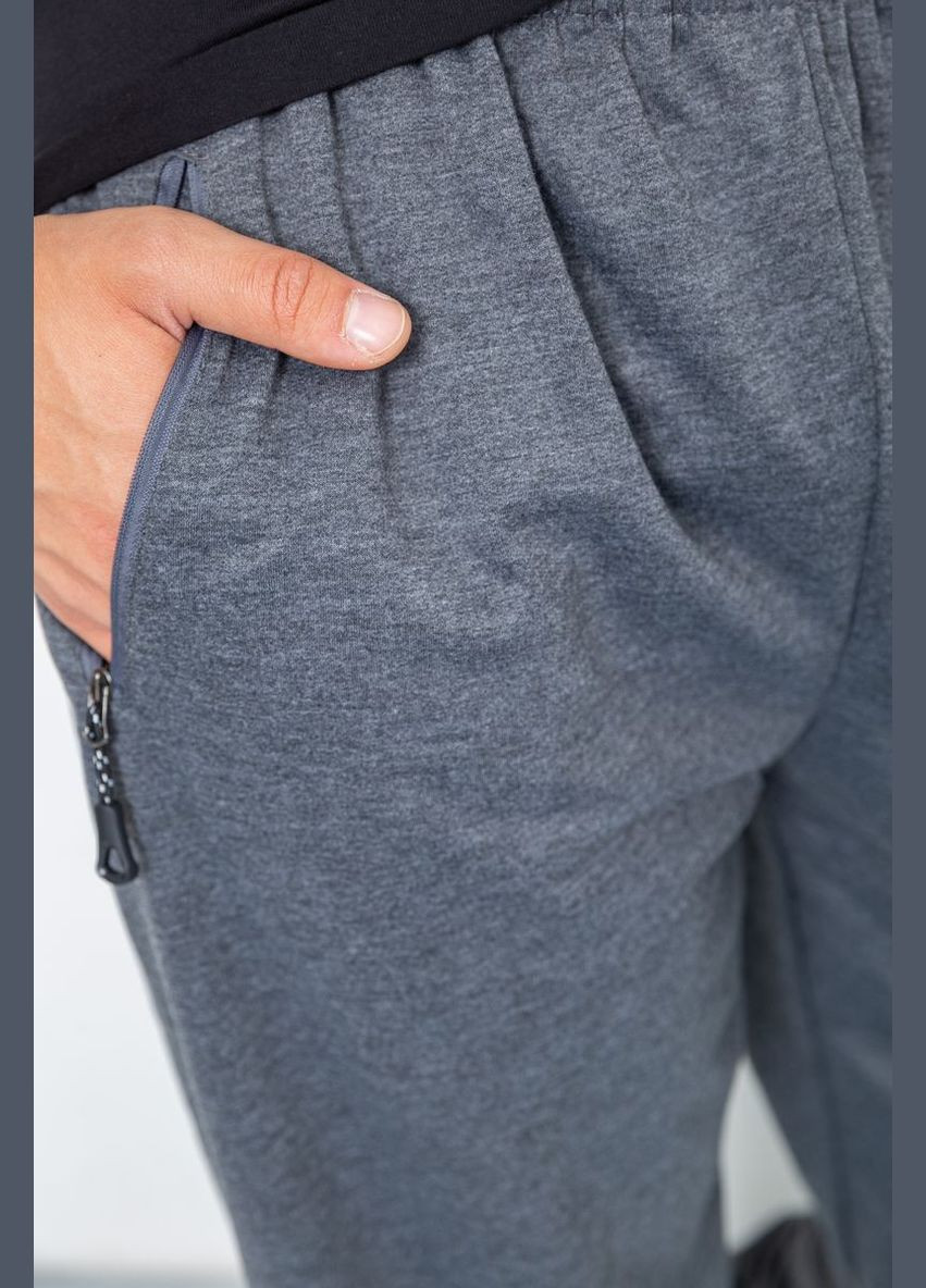 Серые спортивные демисезонные брюки Ager