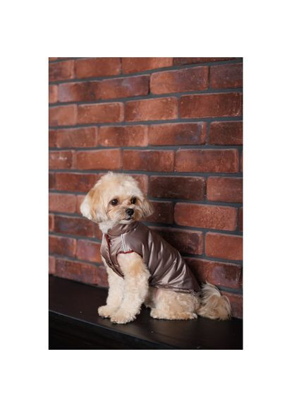 Жилет Hardy для собак розмір M Pet Fashion (333020572)