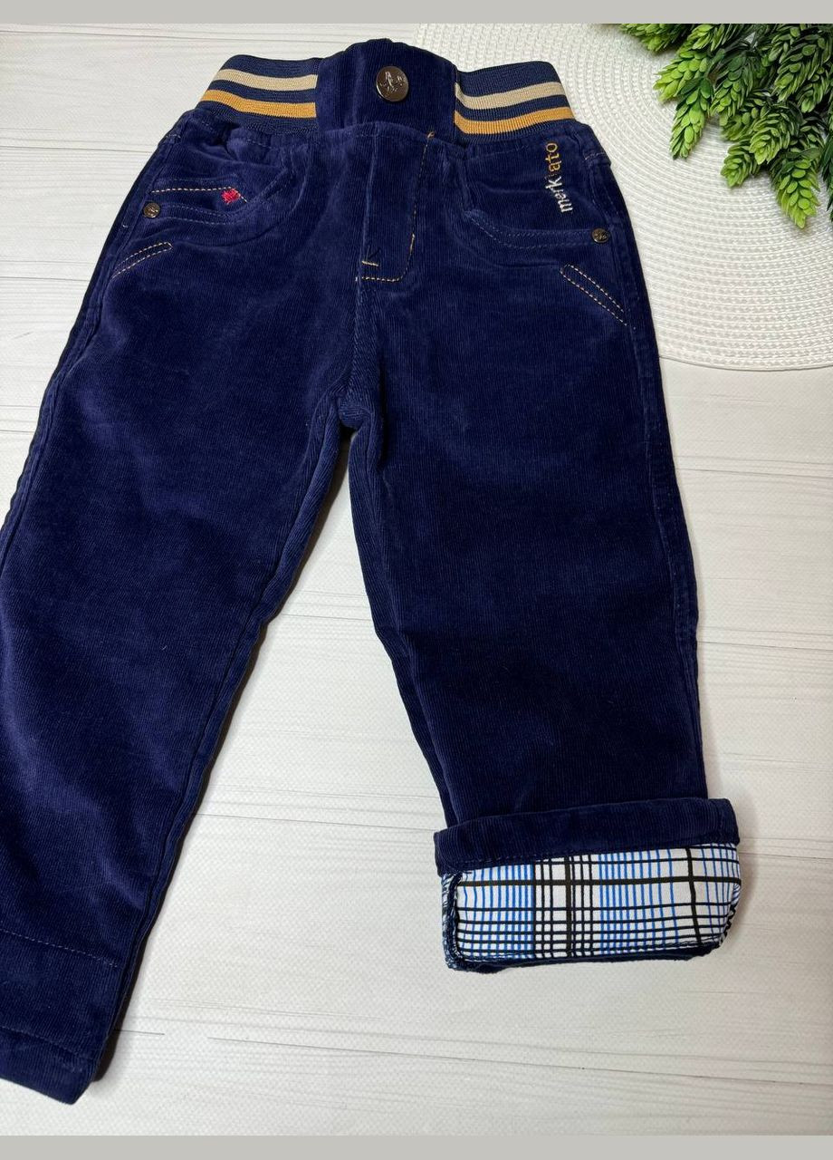 Синие демисезонные брюки Merkiato