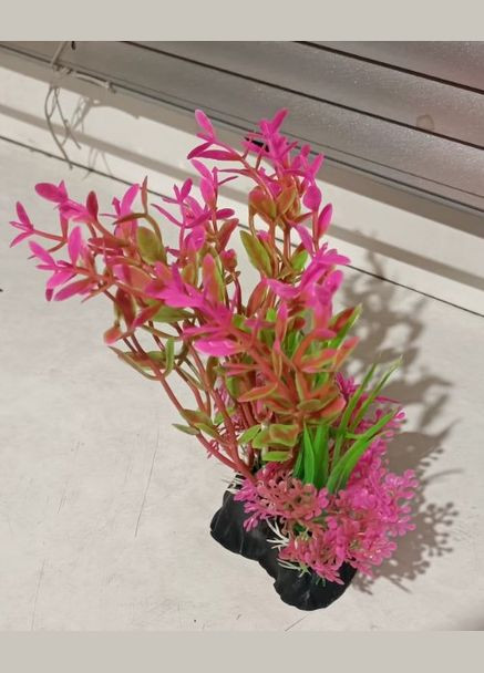 Растение пластиковое водоросли искусственные 3в1, розовое облако 16х11 см Chico'S (314878830)