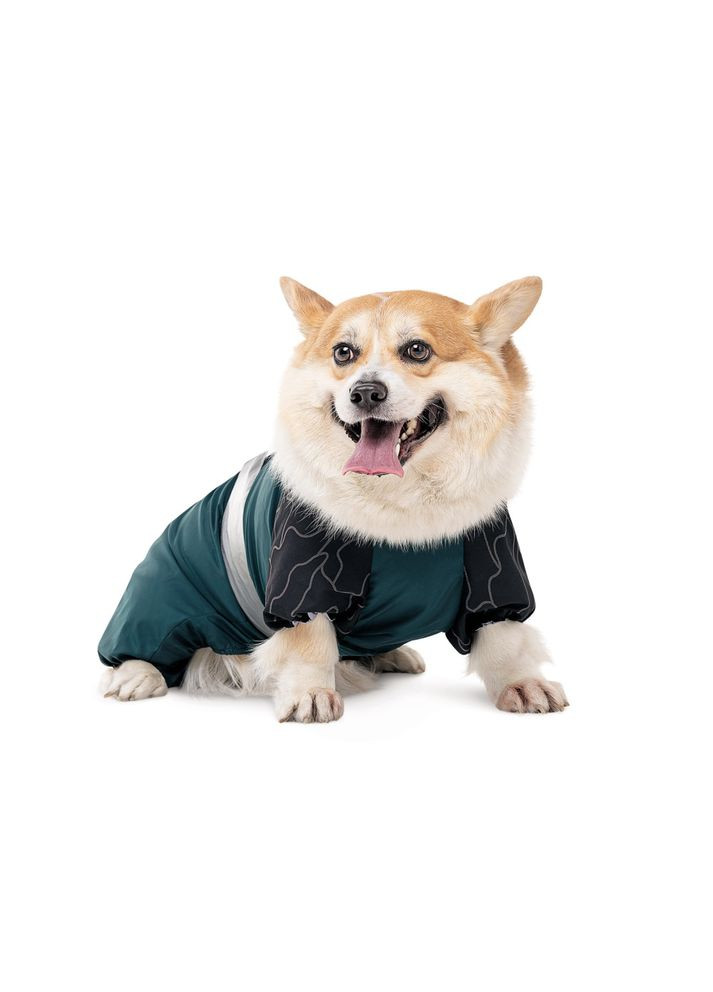 Комбінезон Den для собак Pet Fashion (372504091)
