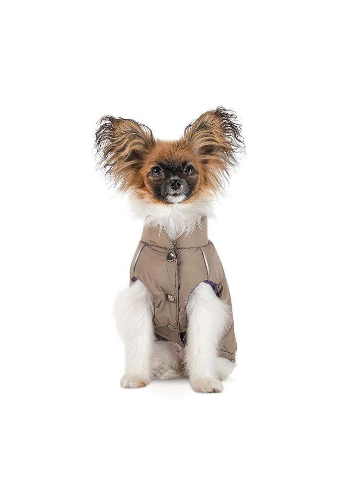 Жилет для собак Hardy бежевый утеплённый водонепроницаемый размер Pet Fashion (395732056)