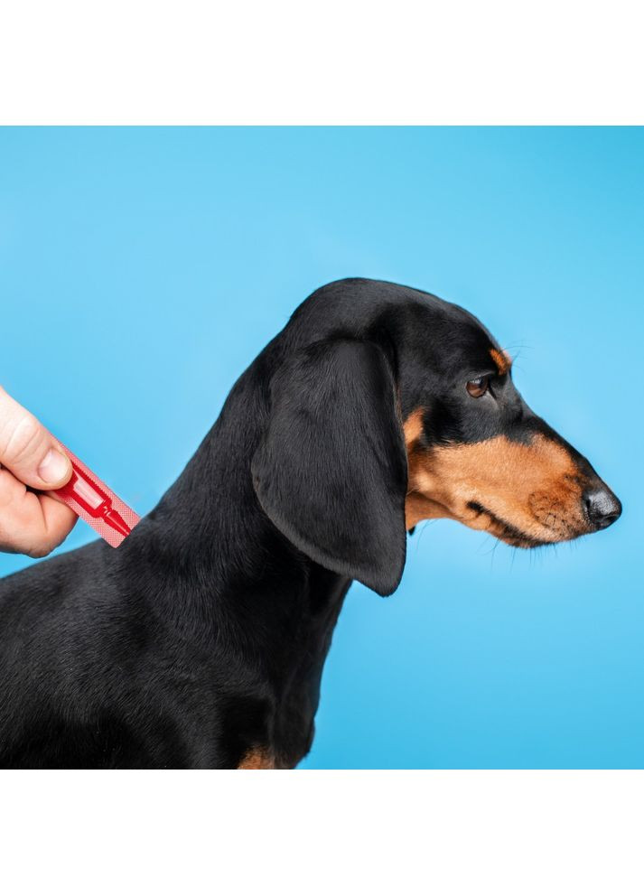 Капли Profiline для собак 20-40 кг, 4 пипетки по 3,0 мл (инсектоакарицид) ProVET (355256373)