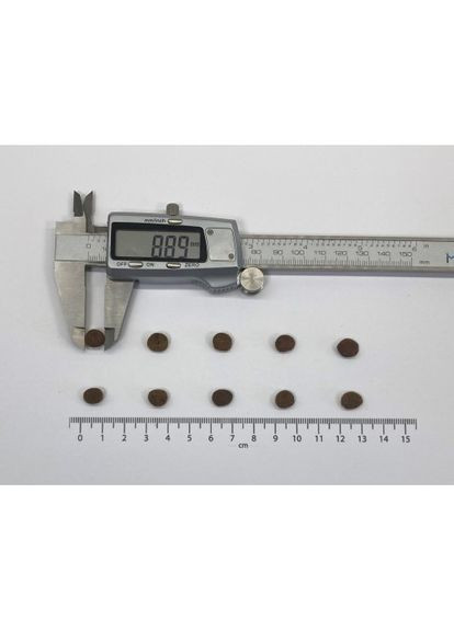 Сухой корм True Fresh Cat для взрослых кошек, с курицей, 4,8 кг Carnilove (322875041)