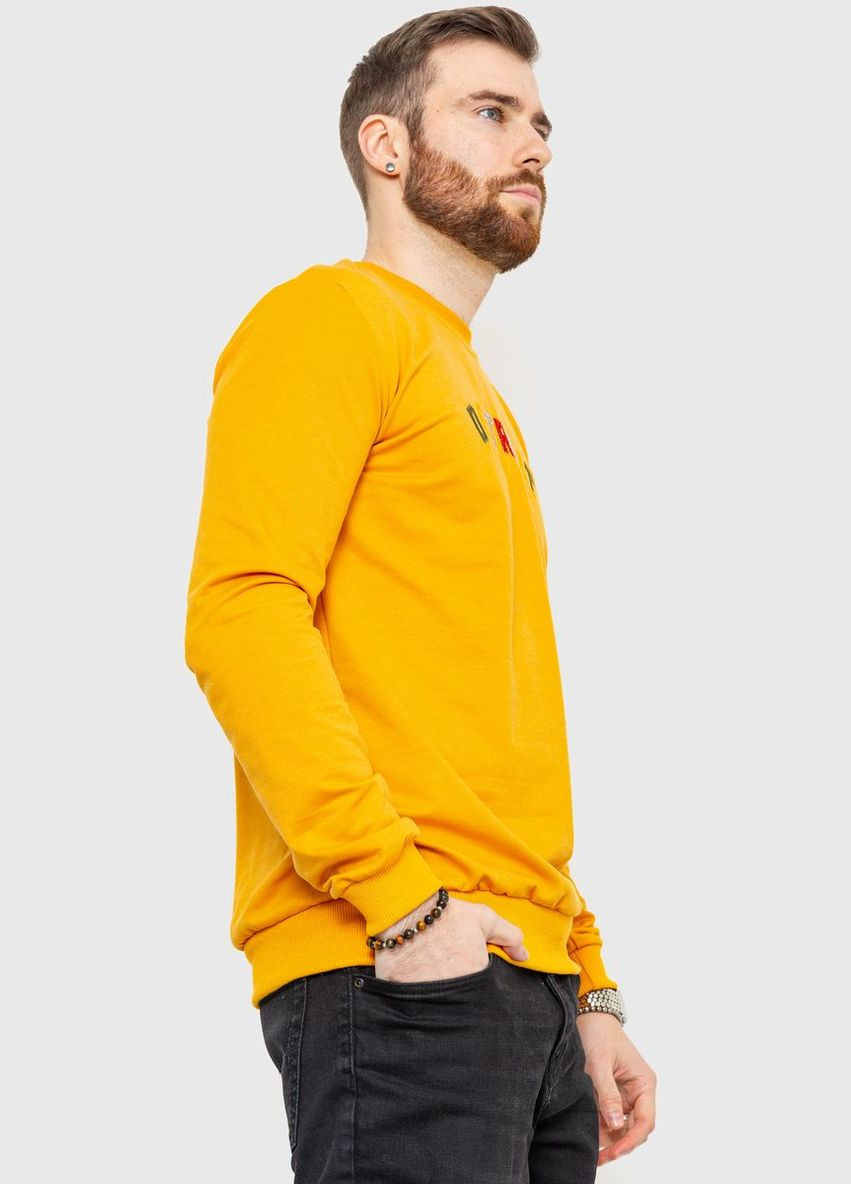 Свитшот мужской демисезонный,, 208R0204 Ager (315789165)