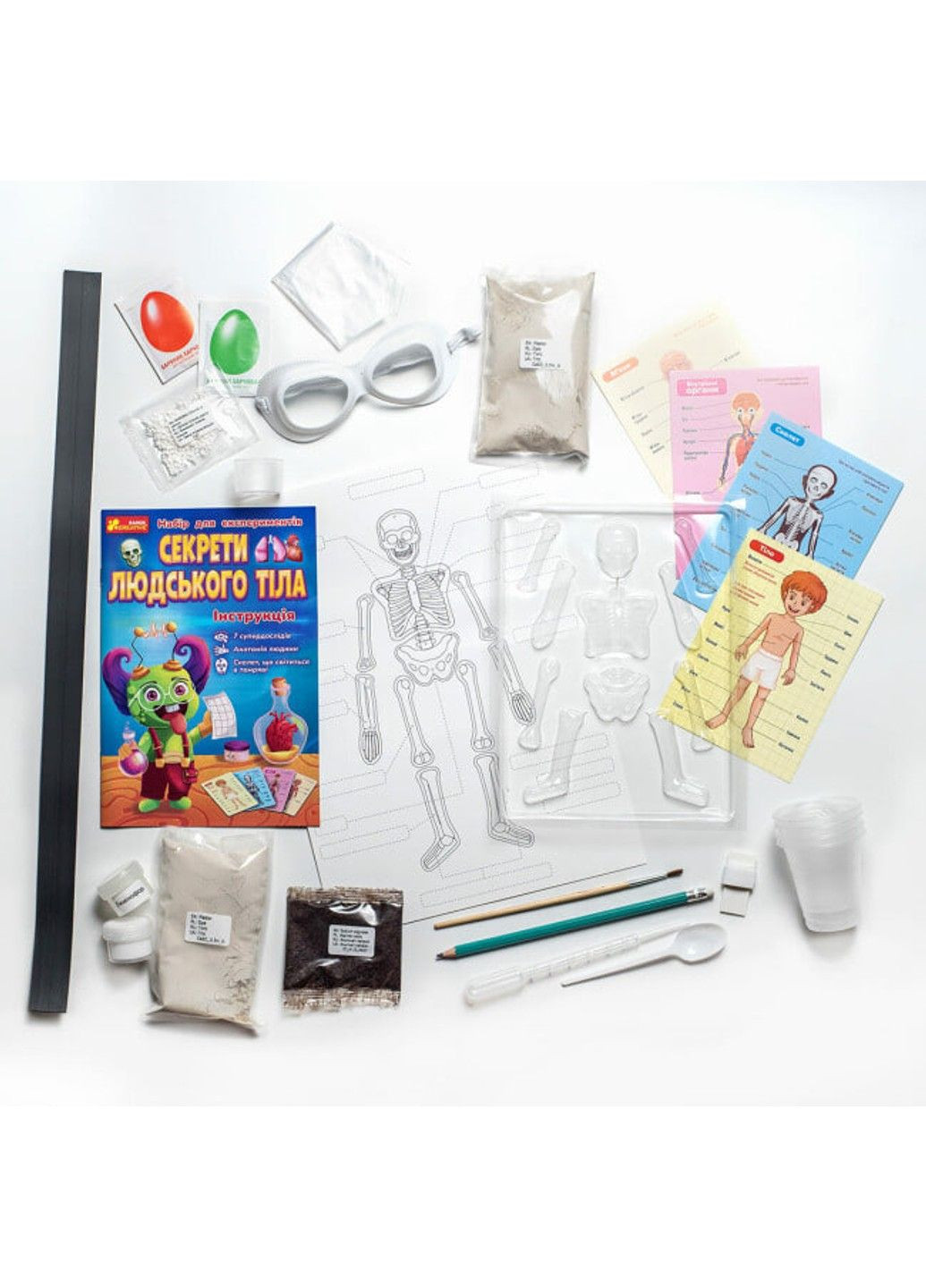 Набор для экспериментов "Секреты человеческого тела" РАНОК (301872615)