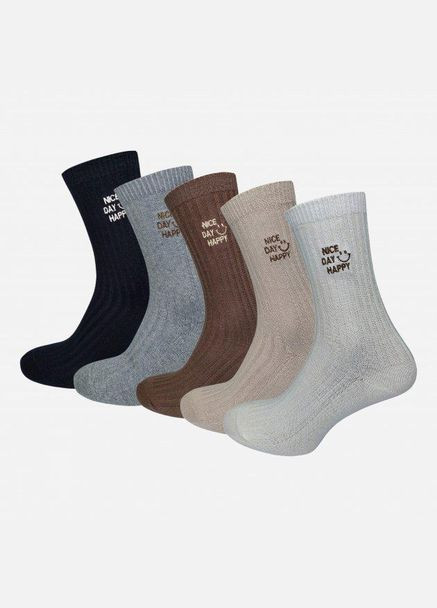 Набір жіночих шкарпеток високих бавовняних Лана Nise Day Happy 5 пар Асорті No Brand (278369135)