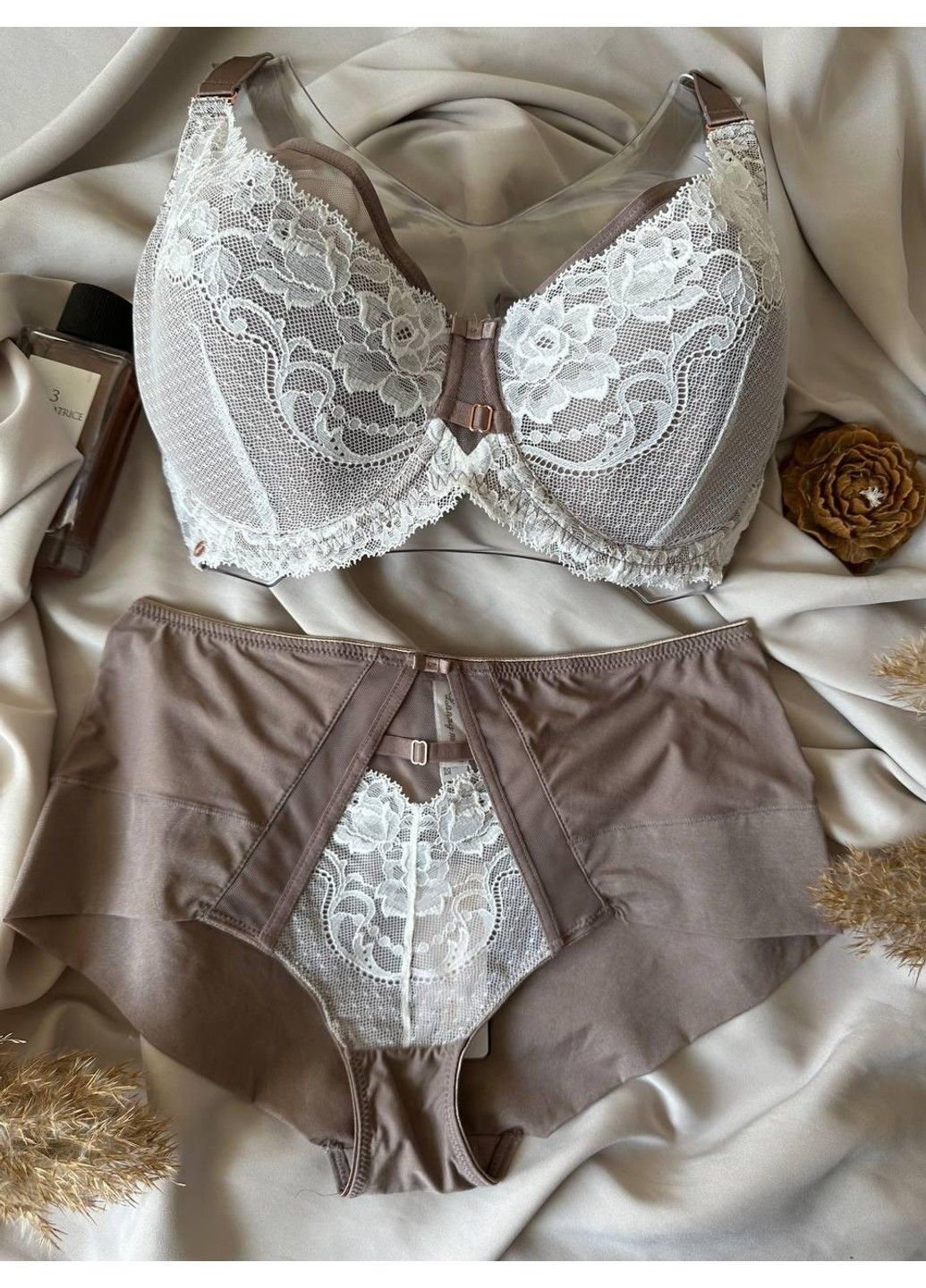 Пудровый комплект бюстгальтер мягким поролон + трусики макси 12301 мокко Lanny Mode