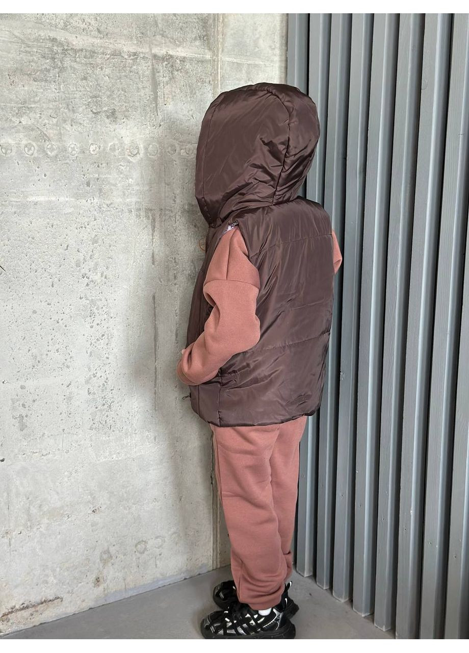 Жилетка детская унисекс,матовая плащевка Канада,синтепон 150,с капюшоном Україна (359912736)