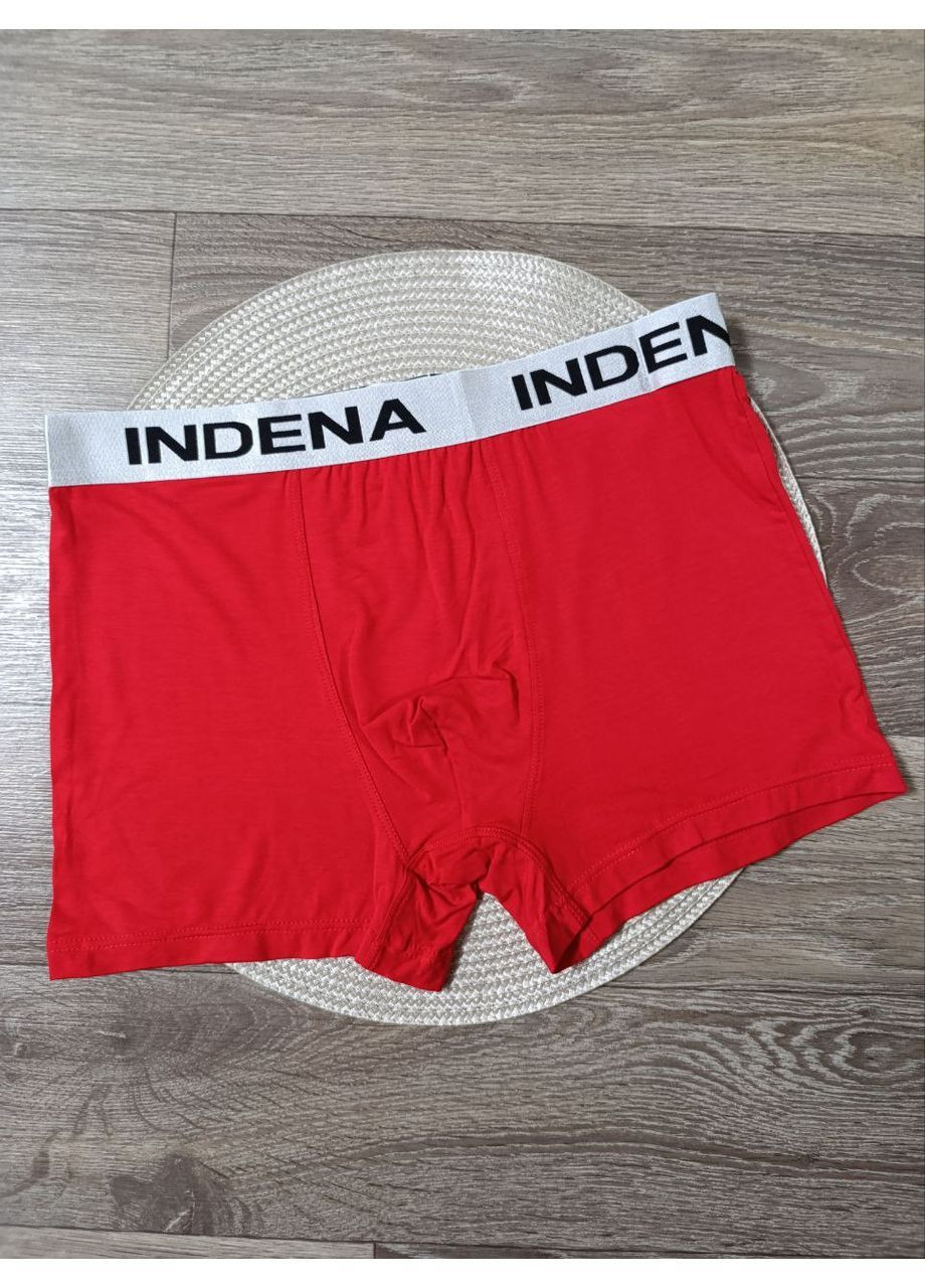 Мужские трусы - боксеры,, размеры от L до 4XL Indena (367159863)