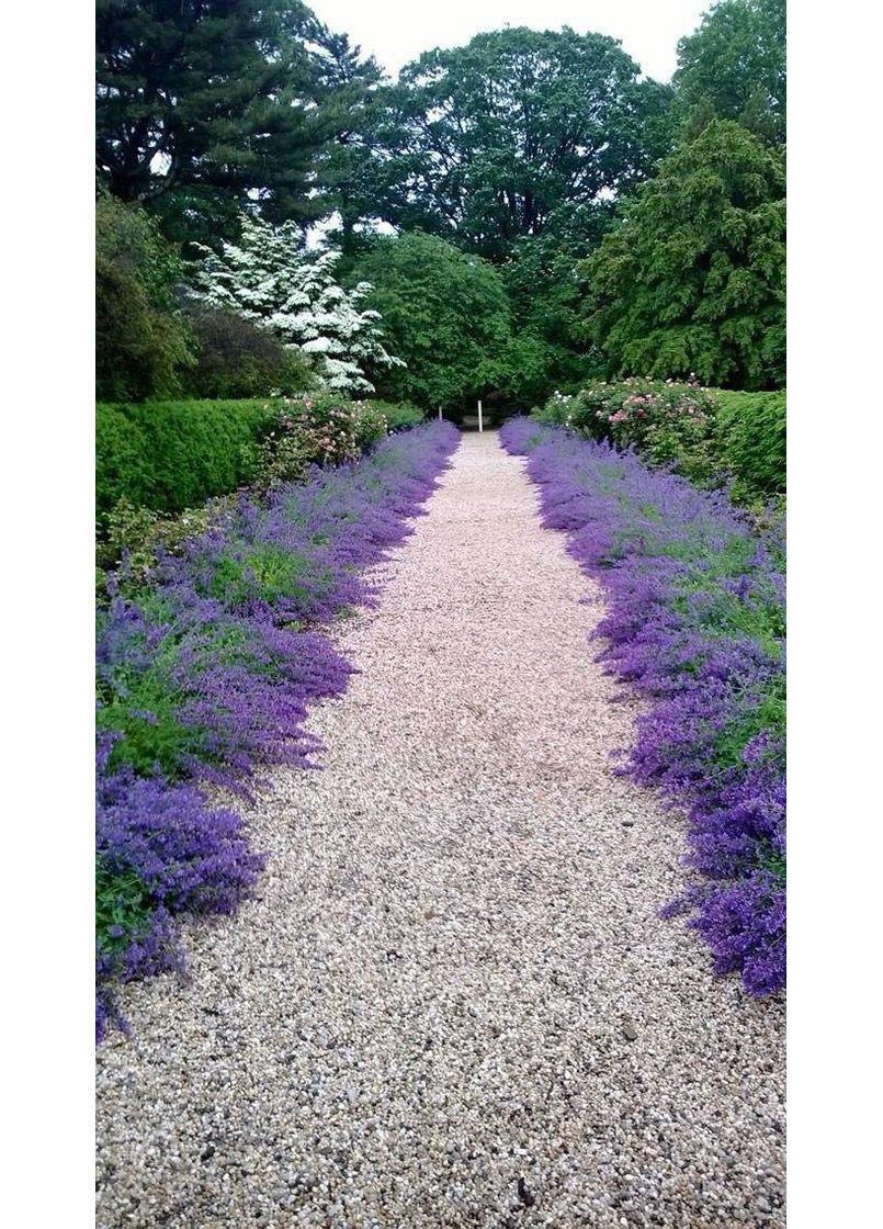 Мраморная крошка Карпаты Желтая 15 кг (10-20 мм) No nonsense (356104168)