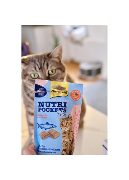 Лакомство для кошек Nutri Pockets Fish Лосось 60 г GimCat (331651922)