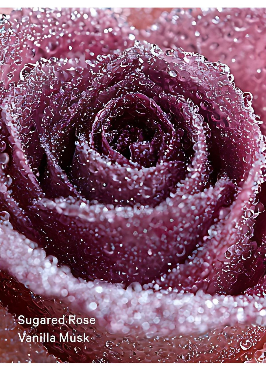 Парфумований міст для тіла Cashmere Fleur 250 мл Victoria's Secret (361676440)