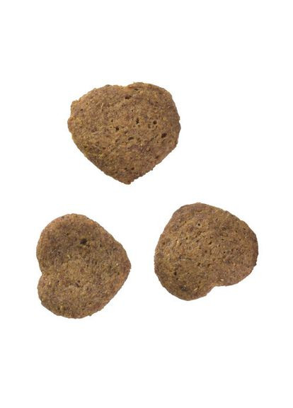 Ласощі для котів Cat Snack Superfruits Insect комахи, 100 г Brit Care (331651893)