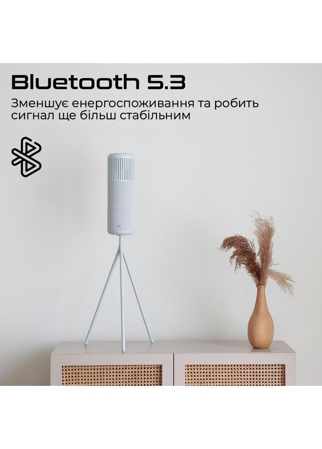 Портативна акустика Wedge Silverwhite HiFuture (323089925)