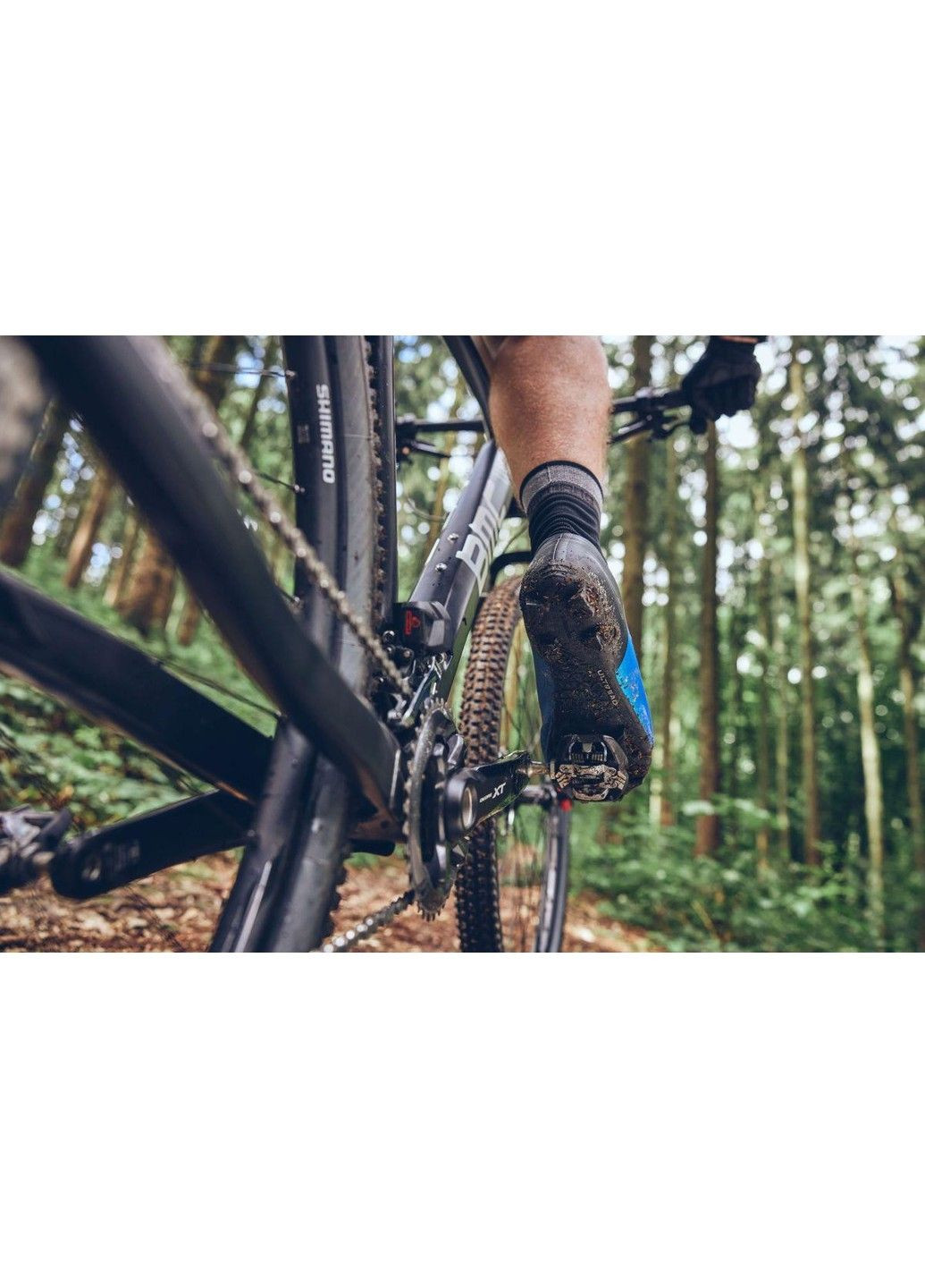 Веловзуття XC502M Shimano (303699978)