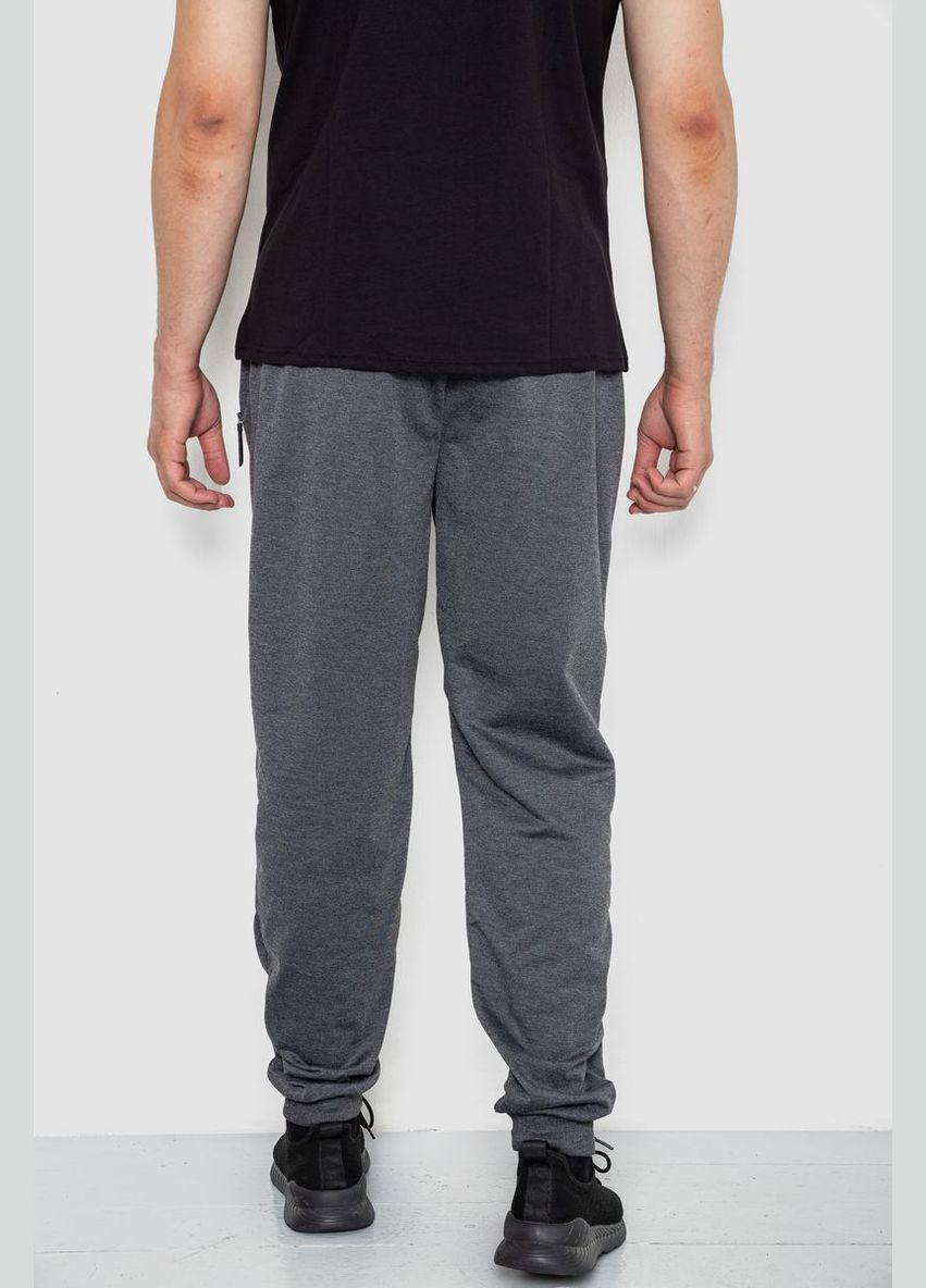 Темно-серые спортивные демисезонные брюки Ager