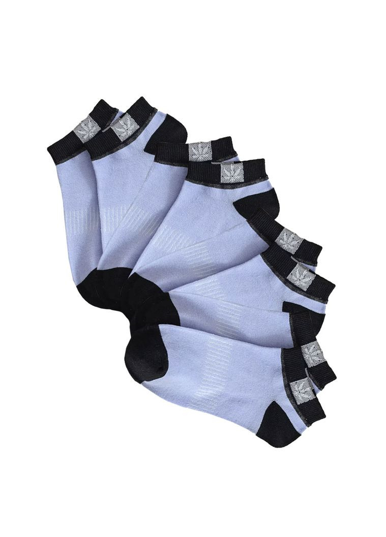 Стильні чоловічі шкарпетки розмір 36-38 Hempo Блакитно-чорний, 4 пари BAFT (293488855)