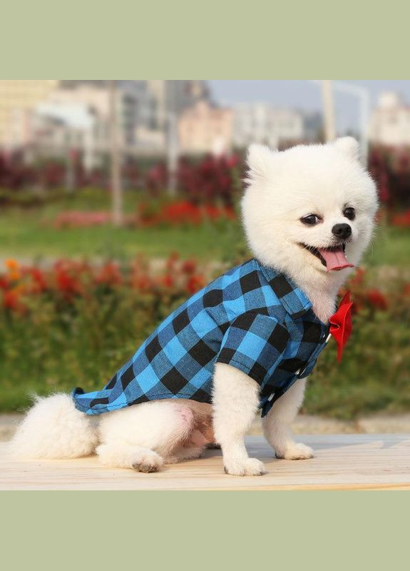 Сорочка для котів Pet Style "Метелик" Синя XL No Brand - (323236960)