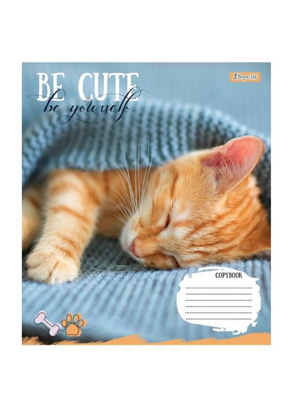 Зошит учнівський 766978 (4823092284068)(SC) shop (4823092284068) No Brand (362976822)