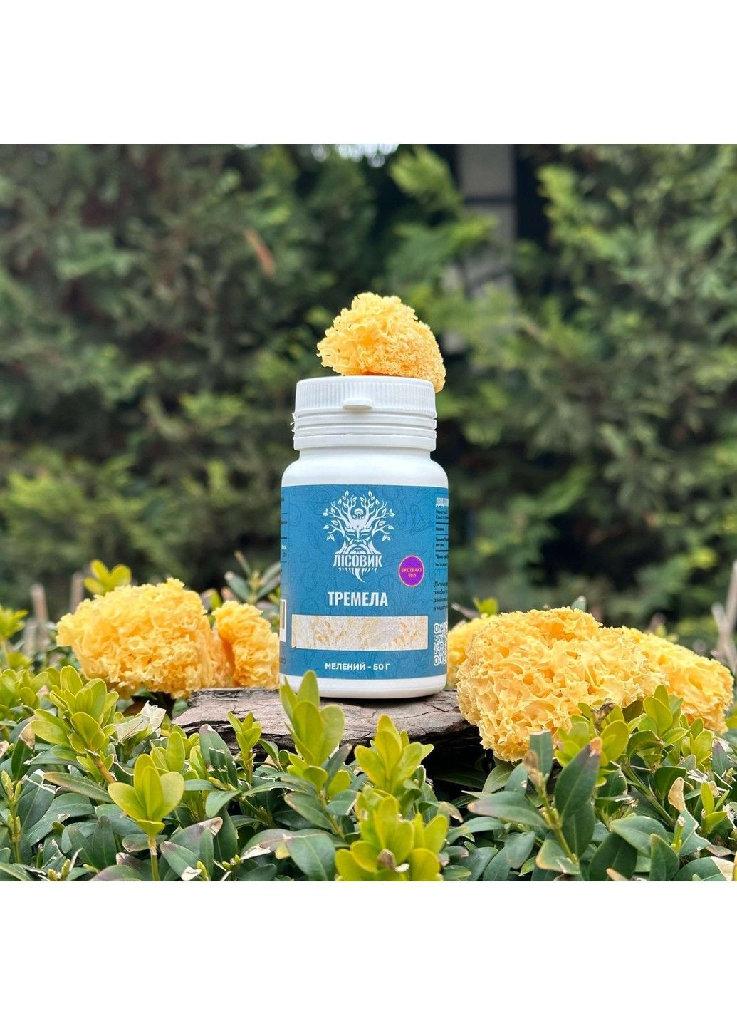 Гриб Тремела екстракт 101 капсули 60 шт Лісовик (364210605)