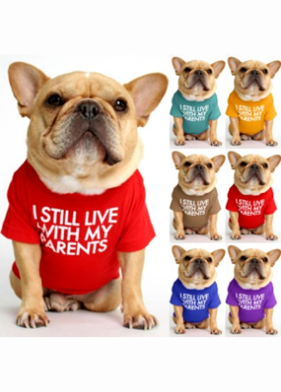 Футболка для котов и кошек Pet Style "I steel" Красная M No Brand - (323237355)