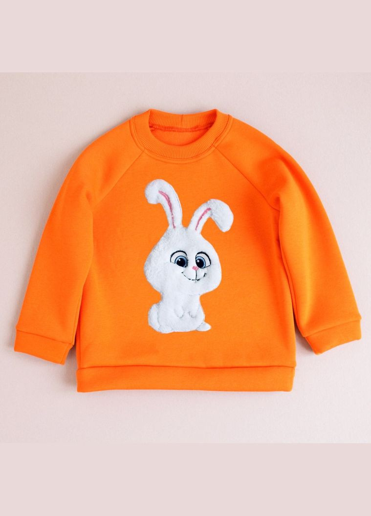 Теплий дитячий світшот з пухнастою аплікацією зайчика дівчинці Ladan (301026530)