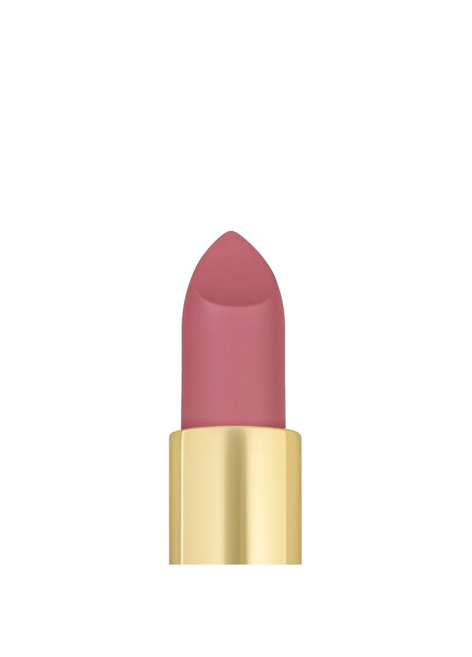 Помада для губ матова PRO HD Soft Matte Lipstick PT158, №009 TopFace (361968946)